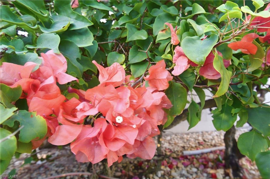 OAKMONT - Residential