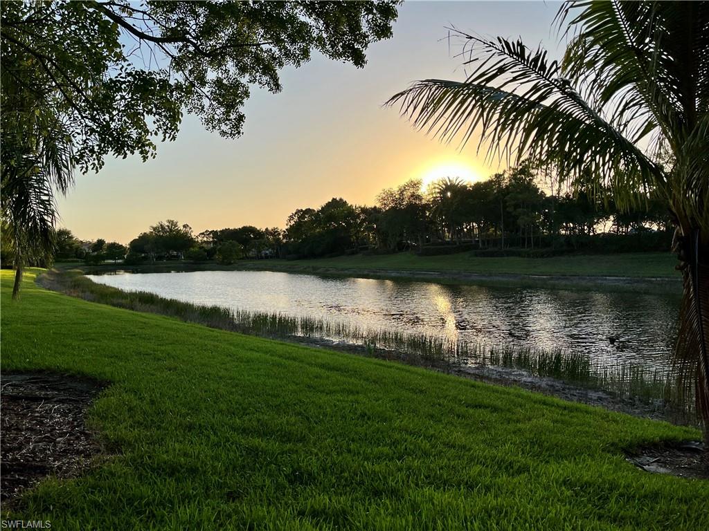 10327 Carolina Willow DR