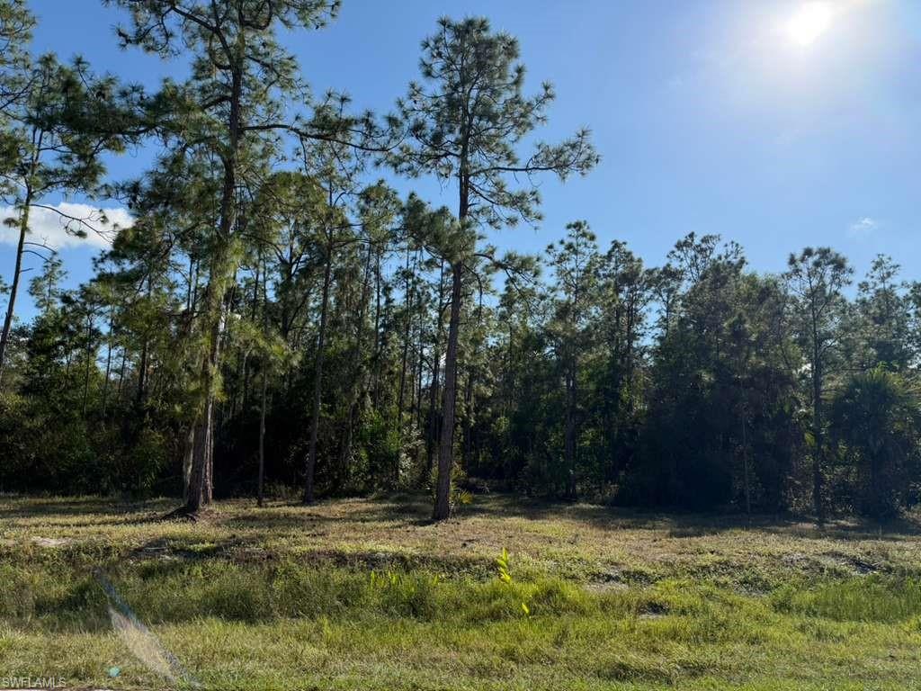 GOLDEN GATE ESTATES - Land