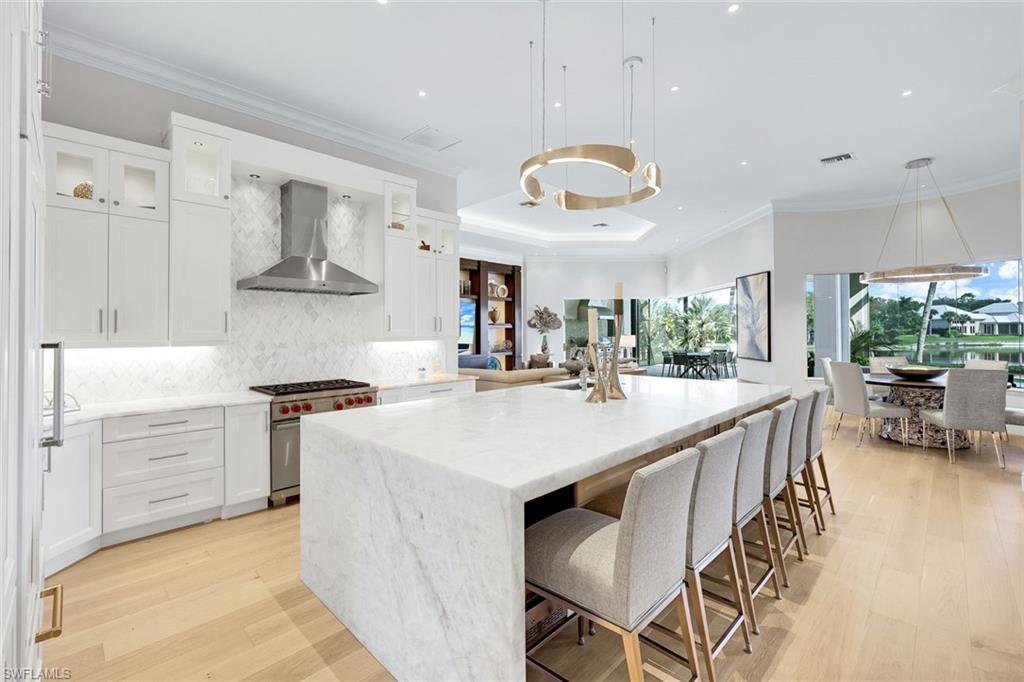 IBIS COVE AT BONITA BAY - Residential