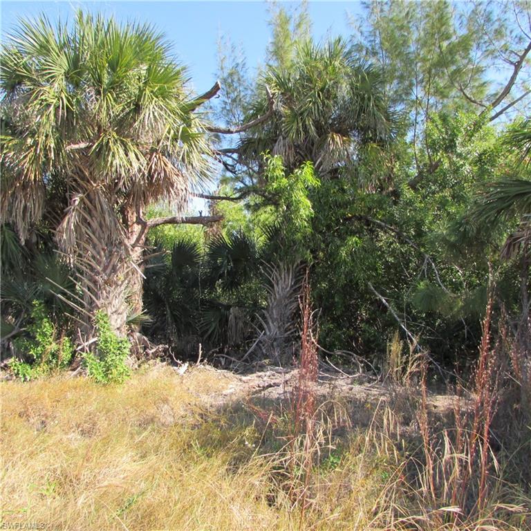 ST JAMES CITY - Land