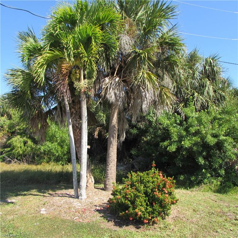 ST JAMES CITY - Land