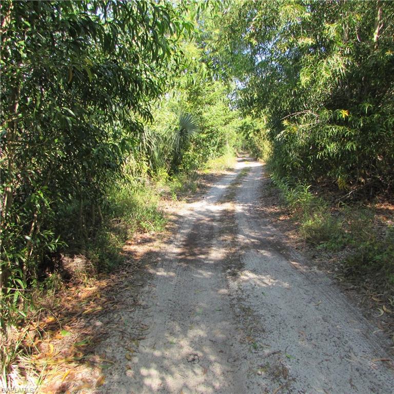 ST JAMES CITY - Land