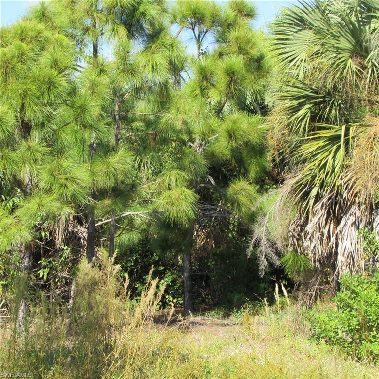 ST JAMES CITY - Land