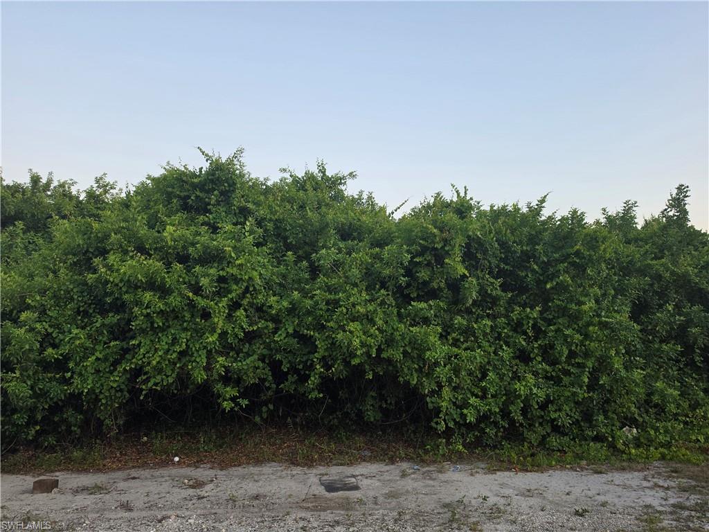 LEHIGH ACRES - Land