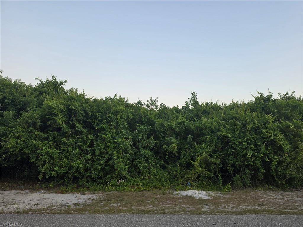 LEHIGH ACRES - Land