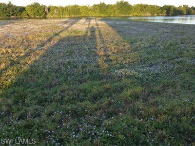 CAPE CORAL - Land