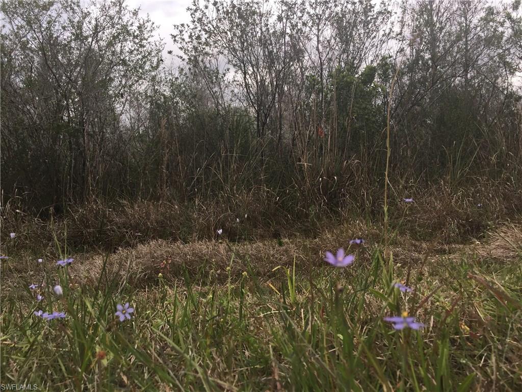 GOLDEN GATE ESTATES - Land