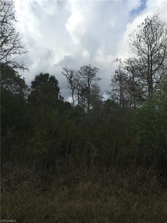 GOLDEN GATE ESTATES - Land