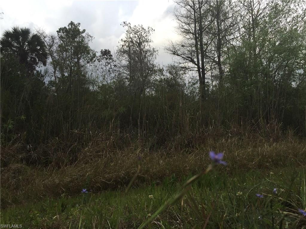 GOLDEN GATE ESTATES - Land