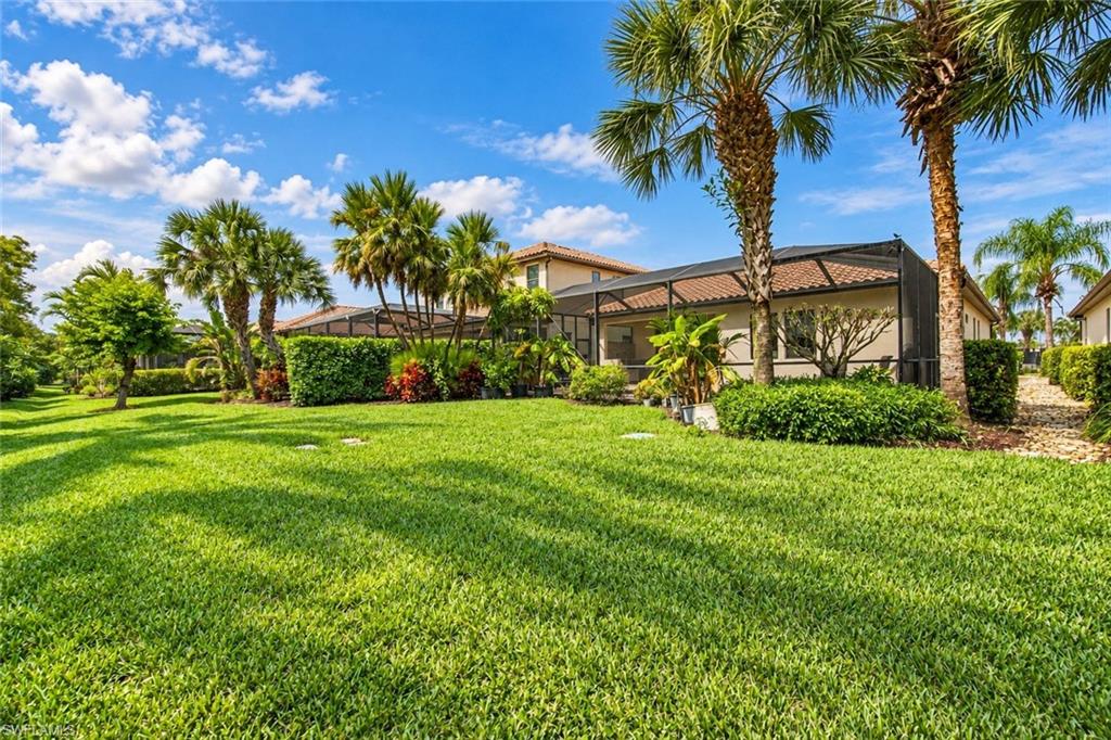 4395 Raffia Palm CIR