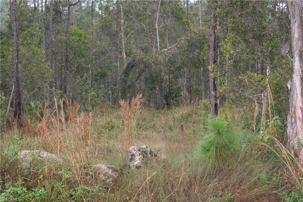 SAN CARLOS ESTATES - Land