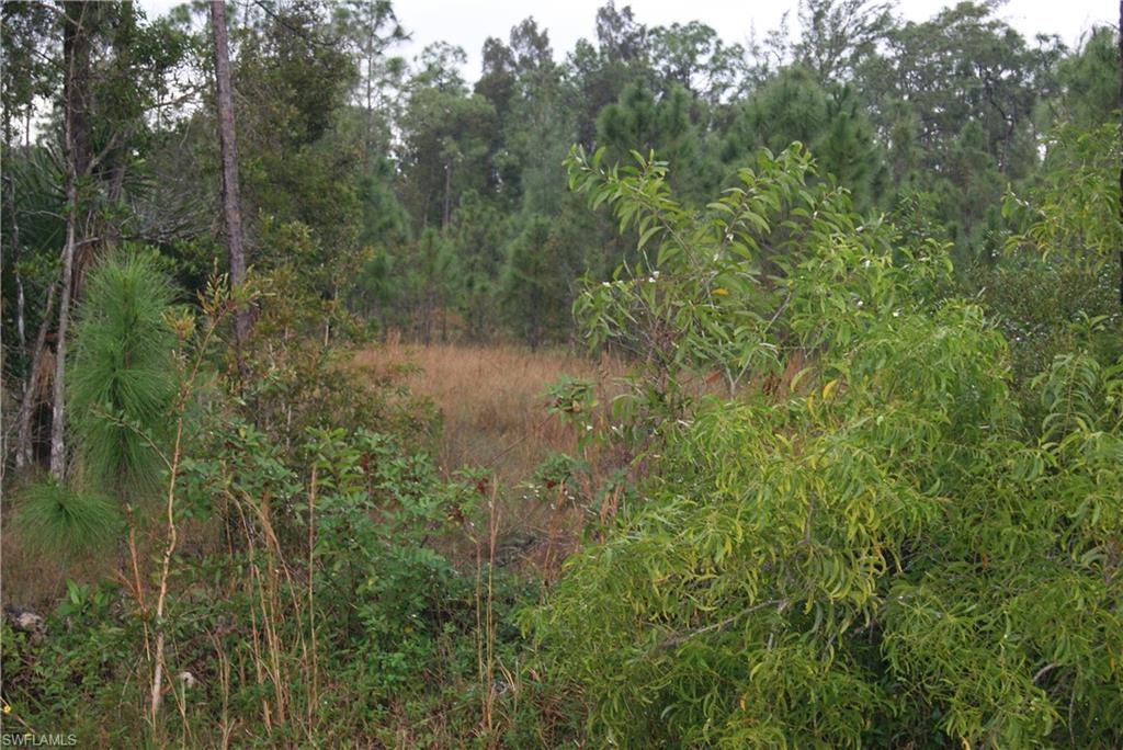 SAN CARLOS ESTATES - Land