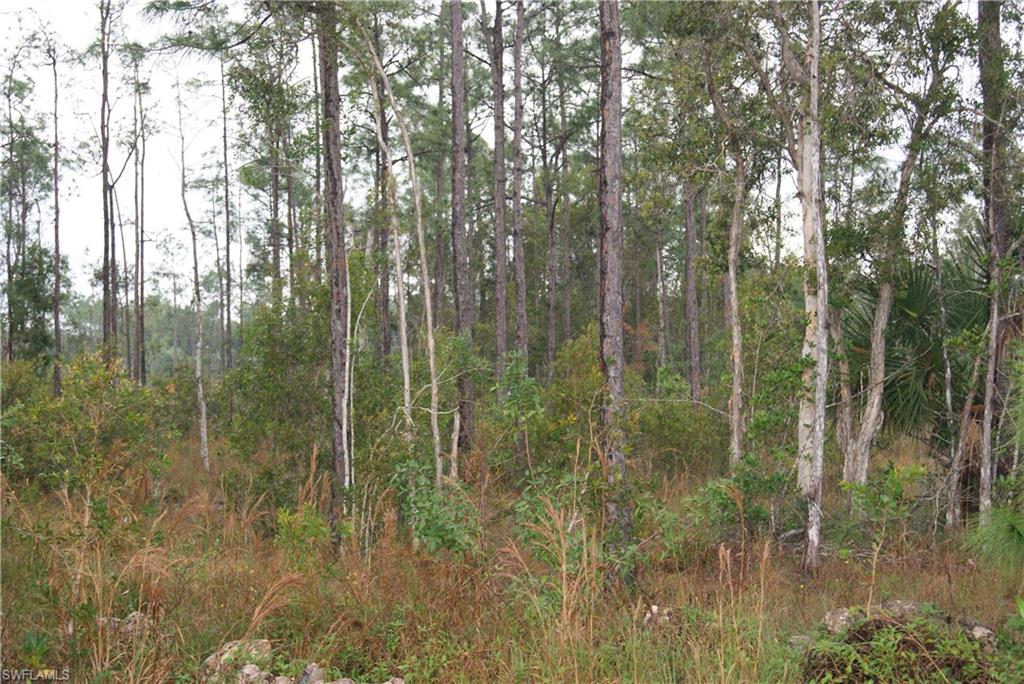 SAN CARLOS ESTATES - Land