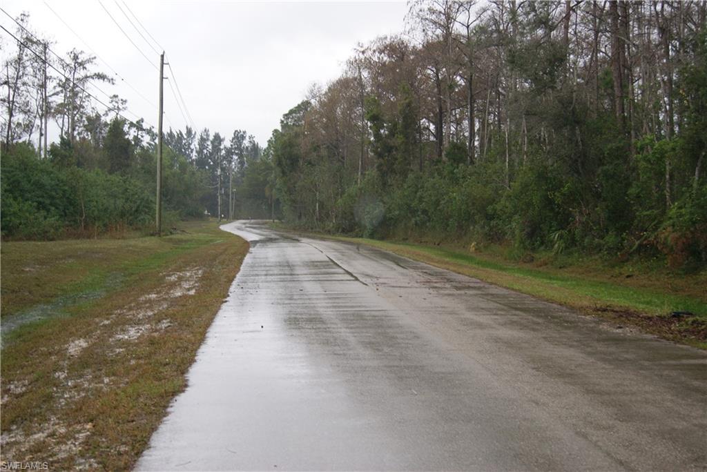 SAN CARLOS ESTATES - Land