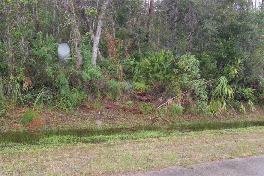 GREEN ACRES IS THE PLACE TO BE- COUNTRY LIVIN A NECCESSITY !! SO CLOSE TO THE BEACH IT'S A FANTASY YOU GOTTA SEE IT TO BE HONESTLY.
Perfectly situated close to the 41 and beaches of bonita springs  lies this rare  1.26 acre parcel ready to build your luxury dream home. Maybe the fastest growing area in sw florida and surrounded buy multi million dollar custom acerage estates. assure s the value to certainly rise .
Long time owner says sell it for me get me any offers and  LETS SEE ??