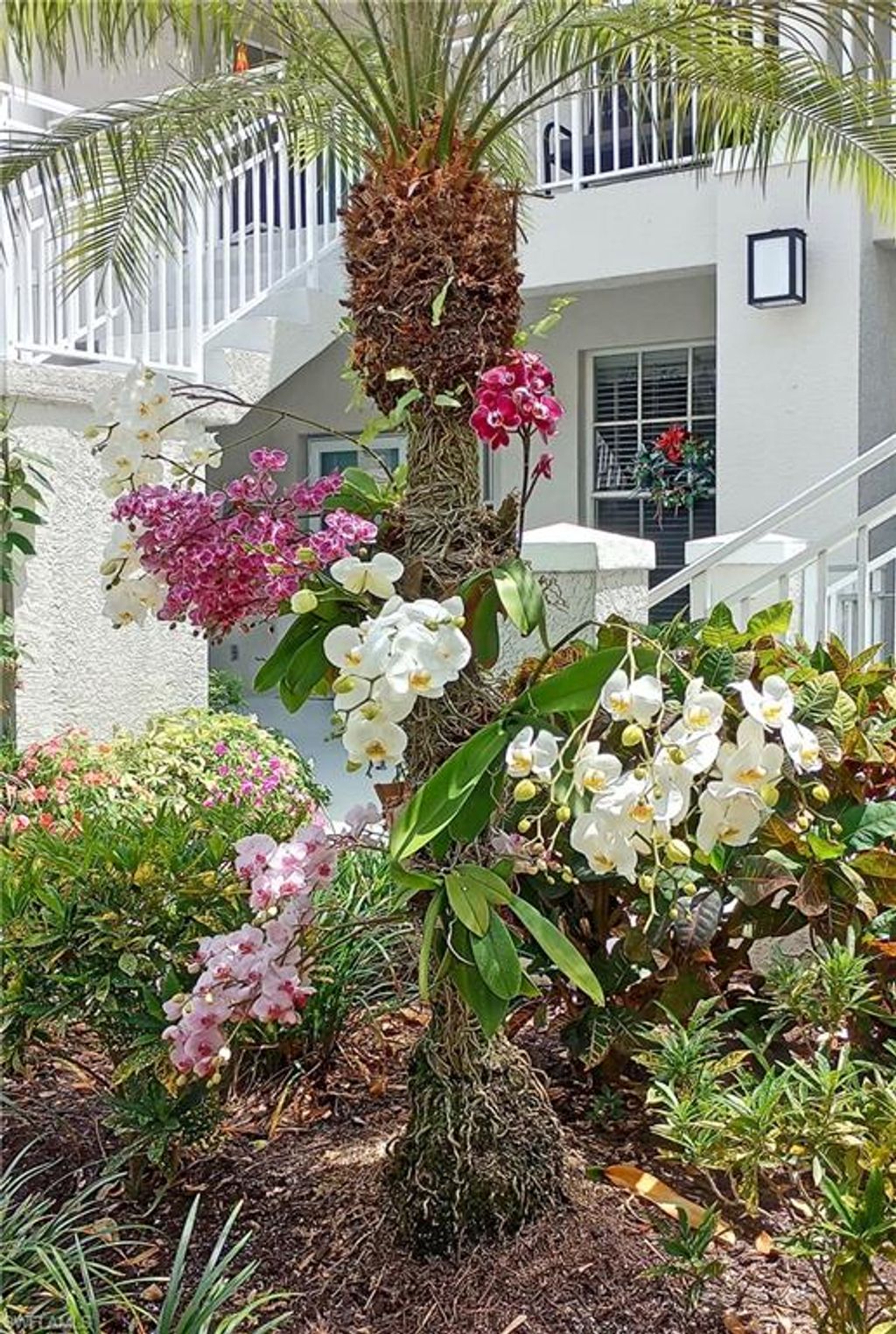 Photo of 2220 Chesterbrook CT #204, NAPLES, FL 34109 (MLS # 226016365)