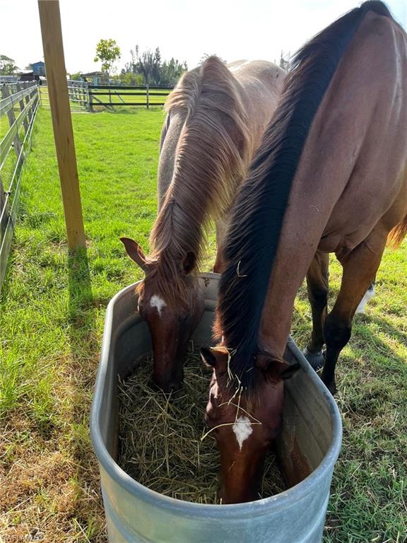 ST JAMES CITY - Residential