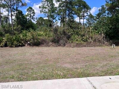 LEHIGH ACRES - Residential Lease