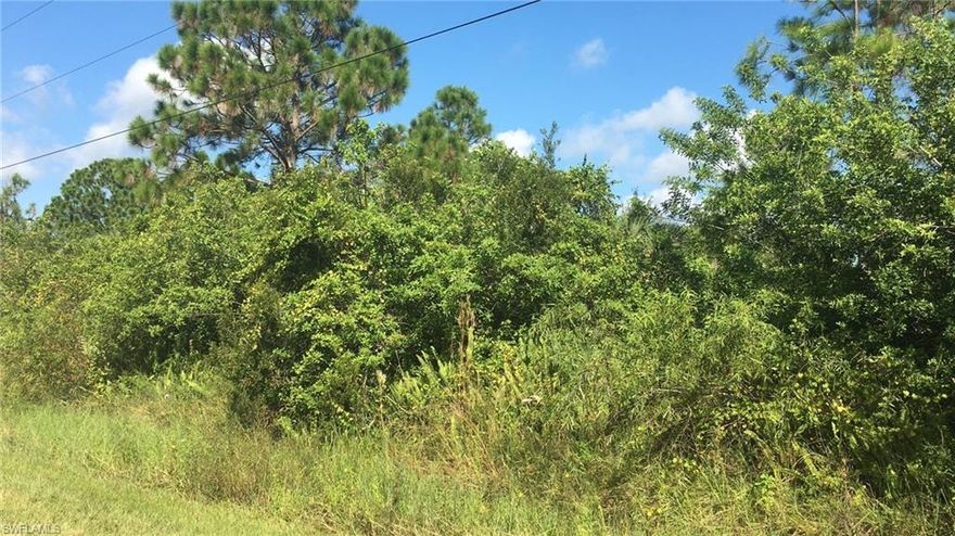 92% UPLAND per EARTH TECH 2019 w/ NO ERP required * GORGEOUS VIEW with SPARSE PINE and PALM * FANTASTIC LOCATION for convenience to SEMINOLE CASINO HOTEL IMMOKALEE, east entrance of AVE MARIA via Camp Keais Road entry * Also convenient to WORLD RENOWNED AUDUBON SOCIETY CORKSCREW SWAMP SANCTUARY and it's world famous GHOST ORCHIDS and unique scenery * COLLIER COUNTY FAIR & EXPOSITION and FUTURE BIG CORKSCREW ISLAND REGIONAL PARK * Horses allowed * Great COUNTRY FEEL and WONDERFUL CONVENIENCE to east Naples amenities.  MAKE HIGHEST and BEST OFFER TODAY BEFORE SOMEONE ELSE BUYS THIS LOT!