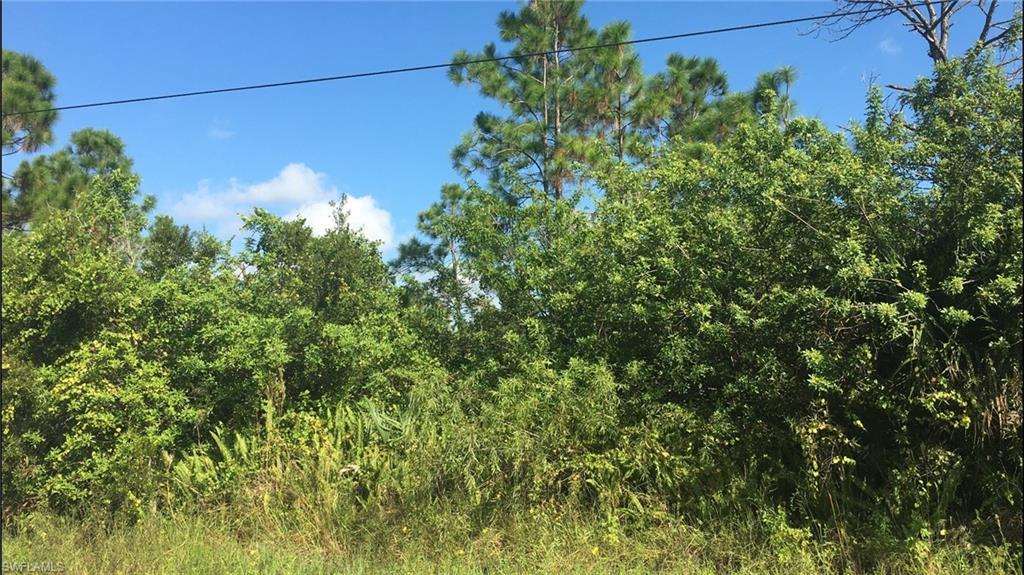 GOLDEN GATE ESTATES - Land