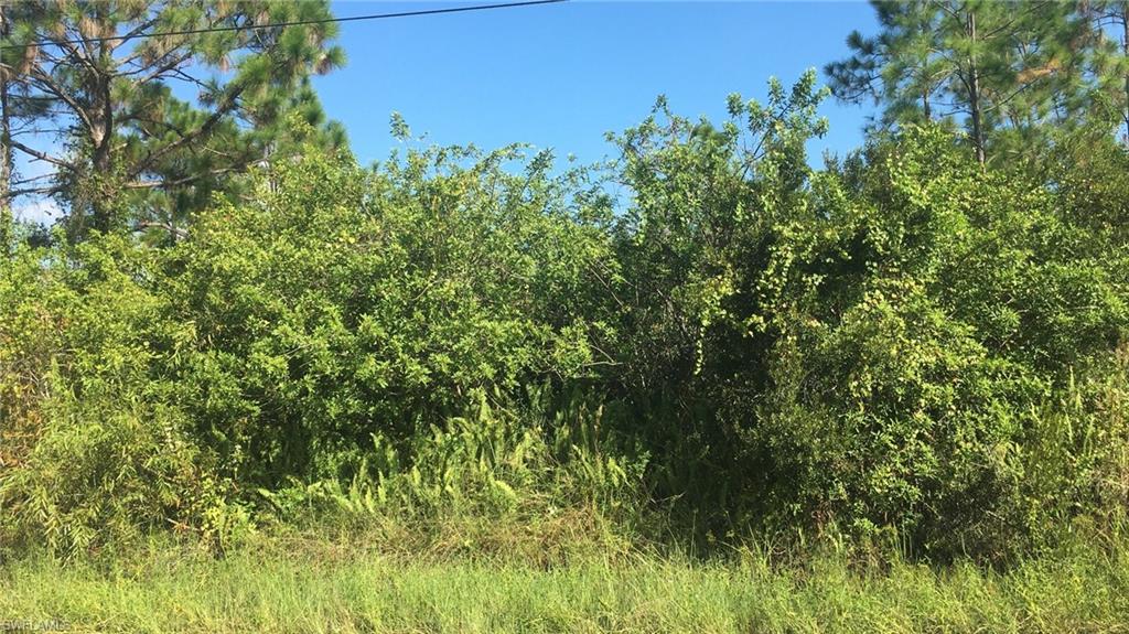 GOLDEN GATE ESTATES - Land