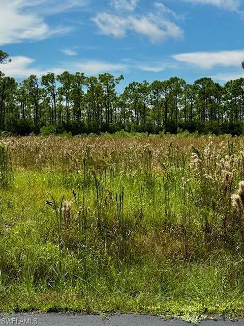 EAGLE LAKE ESTATES - Land