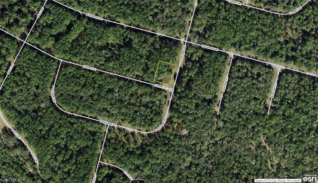 CITRUS SPRINGS - Land