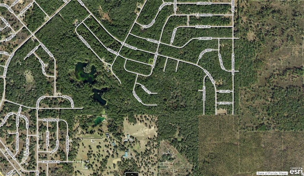 CITRUS SPRINGS - Land