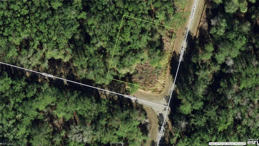 A VACANT LOT IN CITRUS SPRINGS IN CITRUS COUNTY!!!