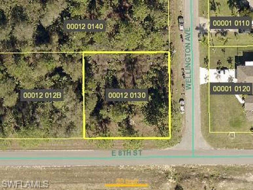 Good access to Joel Blvd. Corner 1/4 acre lot at corner of E 8th Street and Wellington in Lehigh Acres is great location to build your new home. This is raw land, electric at street. Canal Across the street.