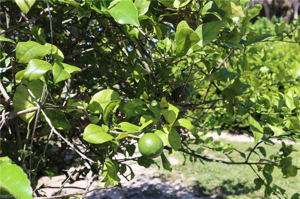 WILLOUGHBY ACRES - Residential