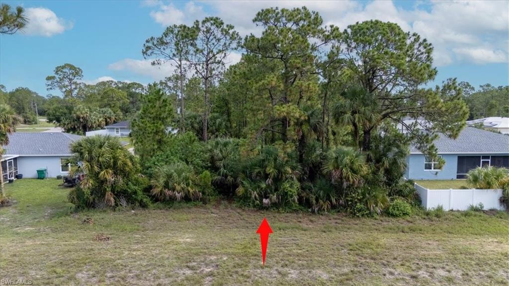 FLORIDA HENDRY LAND TRACTS - Land