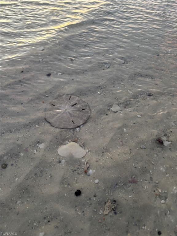 HIBISCUS POINTE - Residential