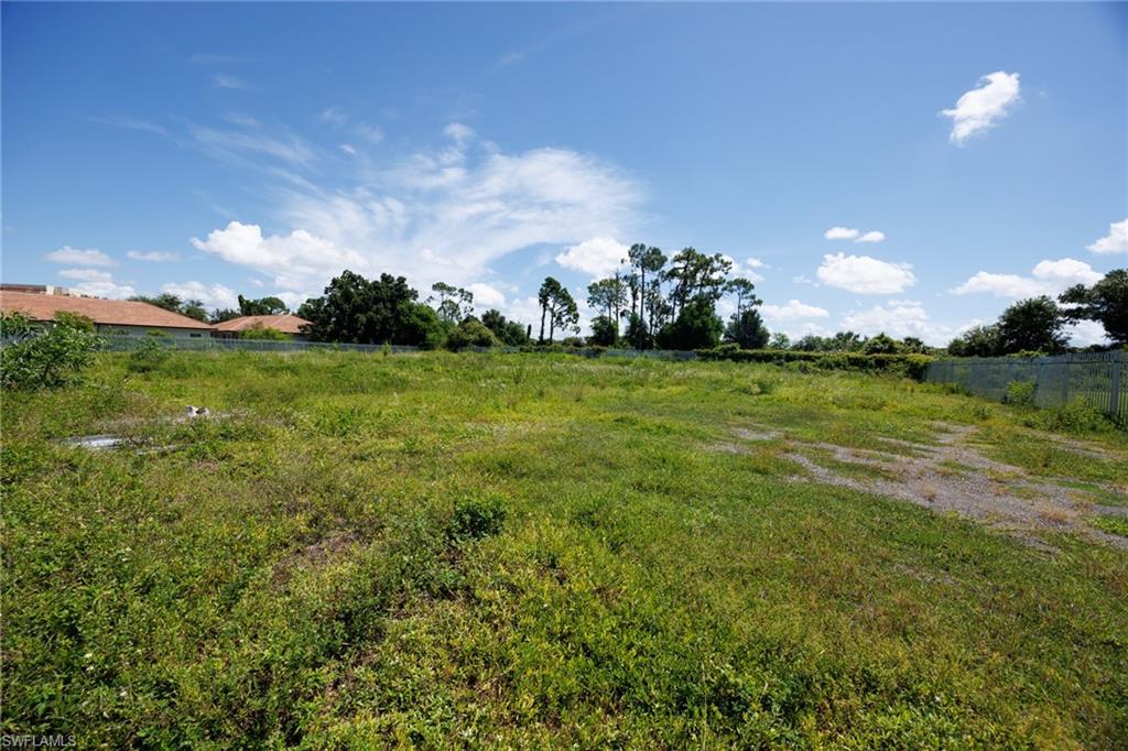 2745 Swamp Cabbage CT