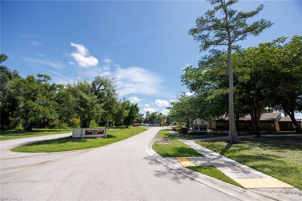 2745 Swamp Cabbage CT