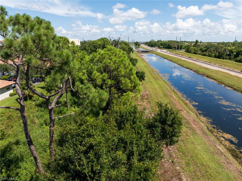 2745 Swamp Cabbage CT