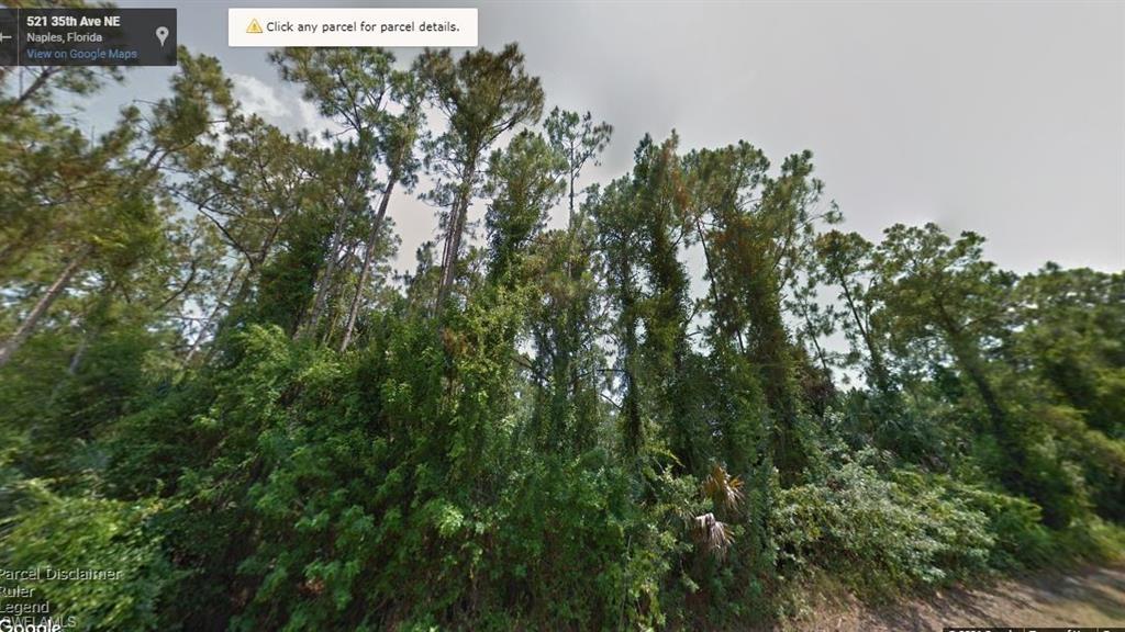 GOLDEN GATE ESTATES - Land