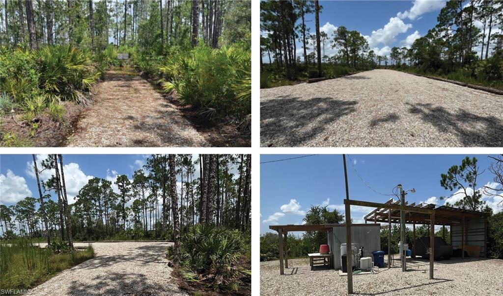 15571 Hughes Black RD