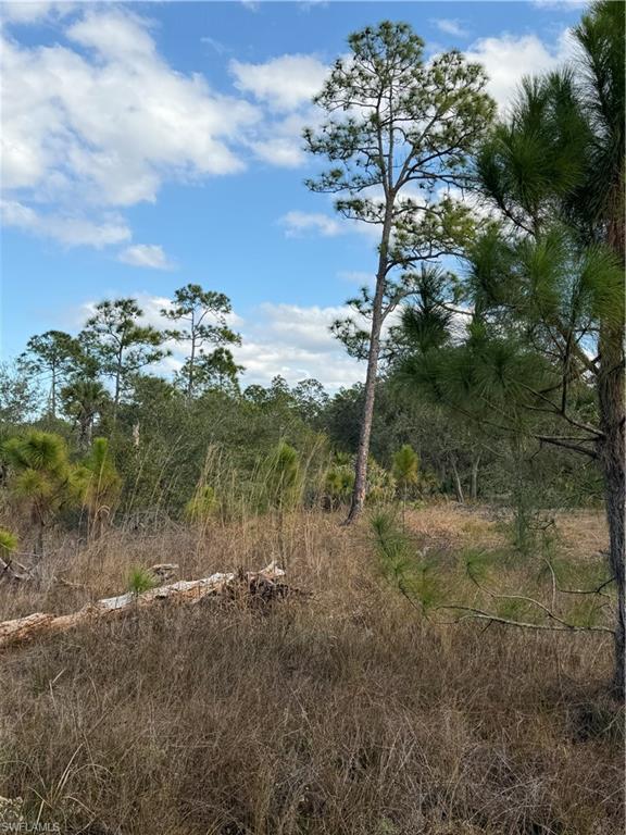 MONTURA RANCH ESTATES - Land