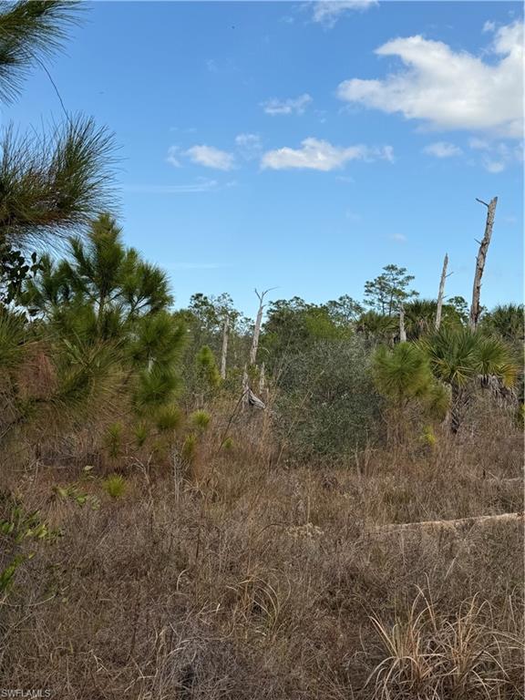 MONTURA RANCH ESTATES - Land