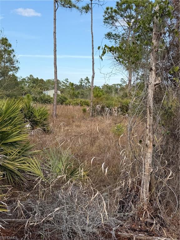 MONTURA RANCH ESTATES - Land