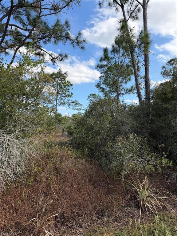 MONTURA RANCH ESTATES - Land