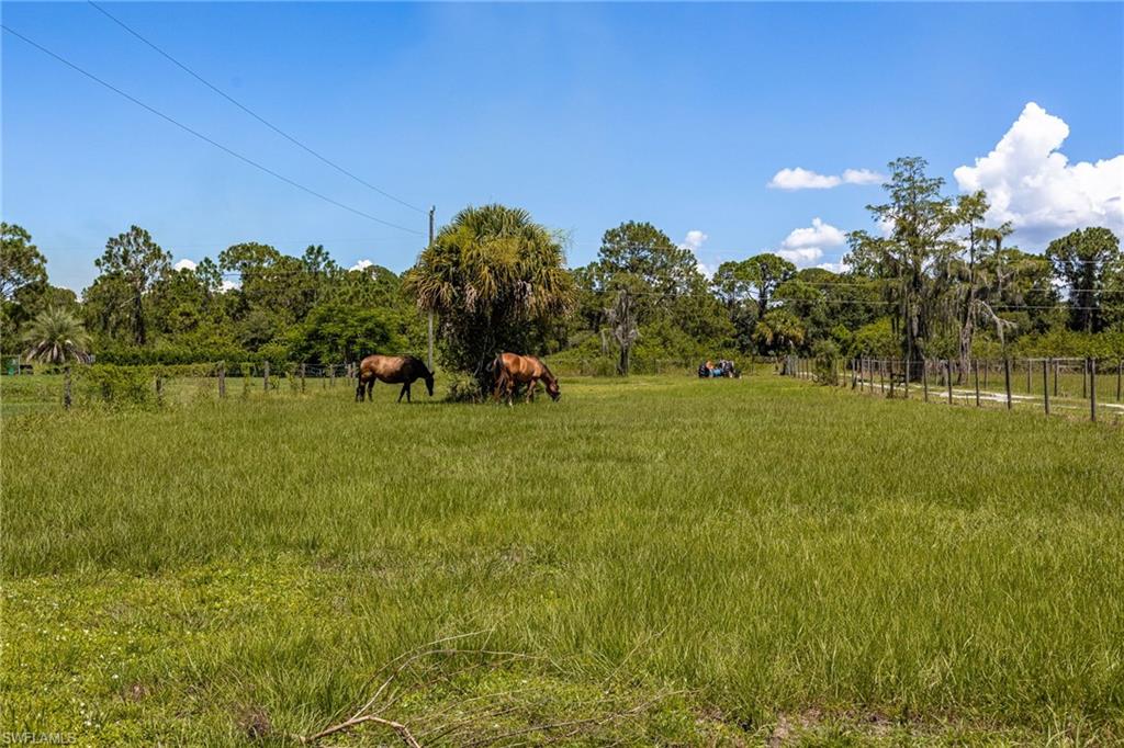 MONTURA - Residential