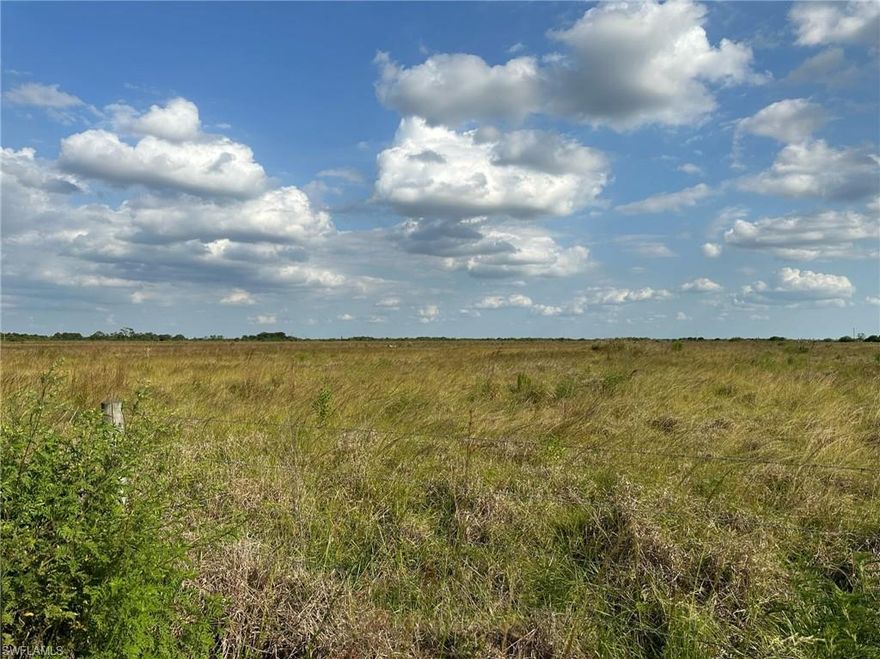 40+/- acres with more available! Formerly an orange grove but recently cleared, it's ready to be transitioned into a small ranch, farm, or weekend getaway!There are a variety of possibilities for this property, including transitioning to a farm, ranch, or country homestead. Lots of tropicals being grown in the area....mangos, lychees, longans, bananas, papayas, dragon fruit, passion fruit and even bamboo. Canal on north side of the property can be used for irrigation. Property is in the Gerber Water District and subject to the Water District tax which is collected by the Hendry County Tax Collector and is used to maintain the roads, canals, and employ security. The roads are private. 

Approximately 45 minutes from I-75 to Miami via SR 29 in Immokalee or northbound via SR 80 in Fort Myers. 1 hour from RSW, 2 1/2 hours from Miami, and 3 hours from Orlando.