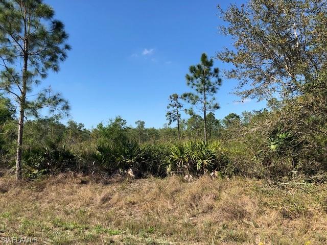 LEISURE ACRES - Land