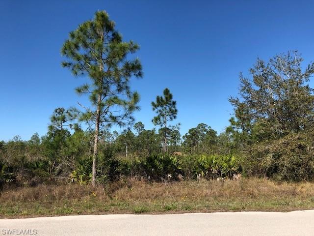 LEISURE ACRES - Land