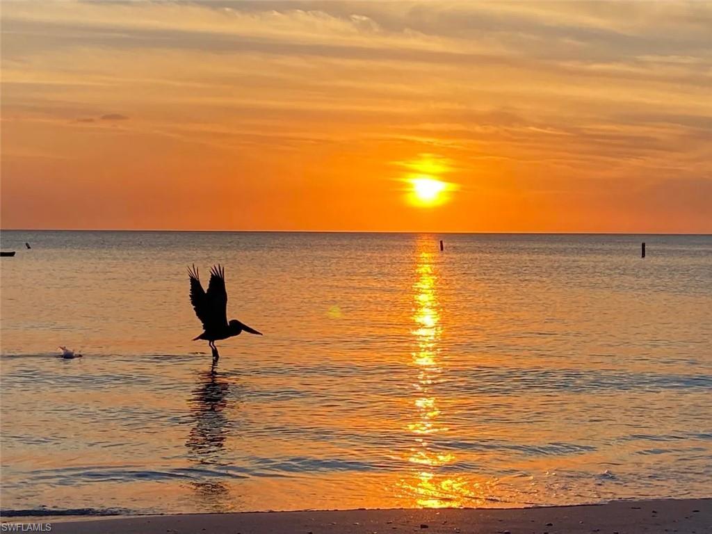 CORONADO - Residential