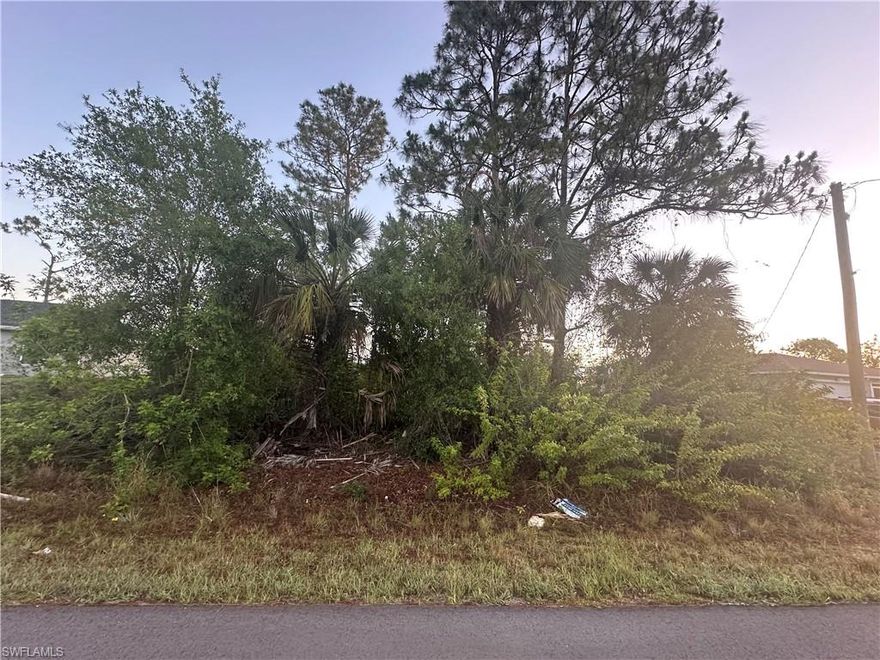 Great opportunity to purchase this centrally located vacant land and build your dream home in a highly desirable location of Lehigh Acres. Located close to schools, shopping, FORT MYERS airport, I-75, restaurants, and southwest florida nicest beaches.