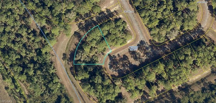 Take a look at this beautiful, over-sized lot located in Banyan Village. This .39 acre property gives you ample space to build your new home with plenty of room for a pool. There is also room for a storage building or pole barn for your toys. Located approximately 10 minutes east of downtown LaBelle it's just a short drive to schools and shopping! Central water is available! No HOA's or RESTRICTIONS! ** The adjacent property is also available MLS# 20260122473 **